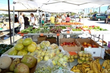 Logo for  Downtown Farmers’ Market on City Island   