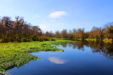 Looking at an old river in a new way